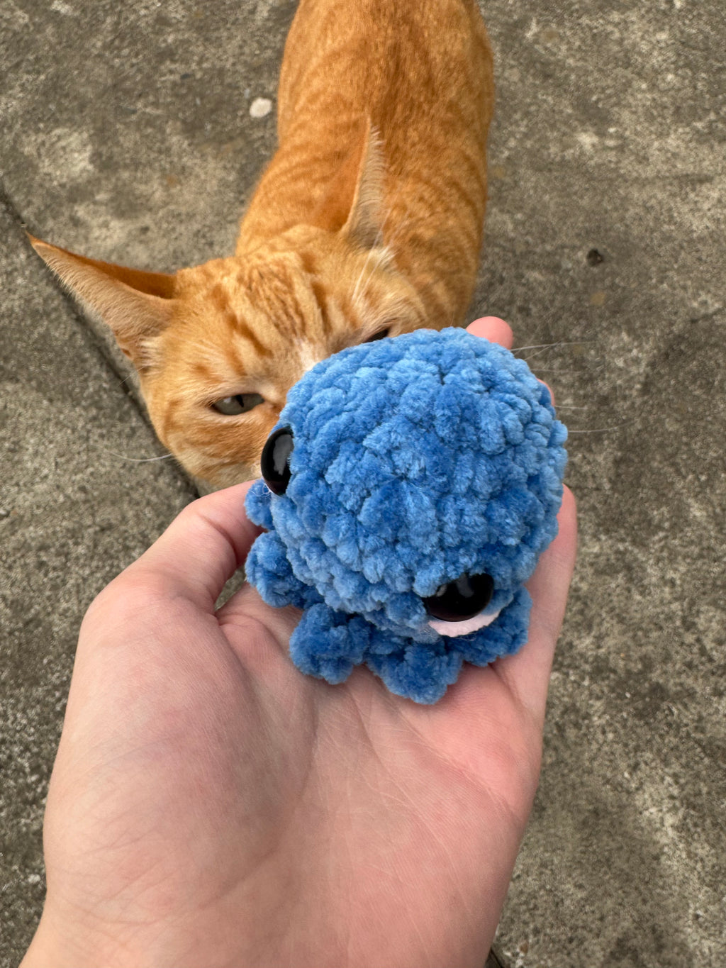 Mini Octopus Plushie